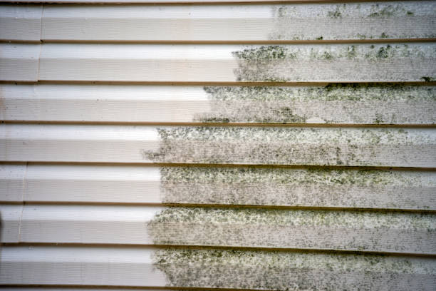 Affordable siding repair and maintenance services in Falkville, AL