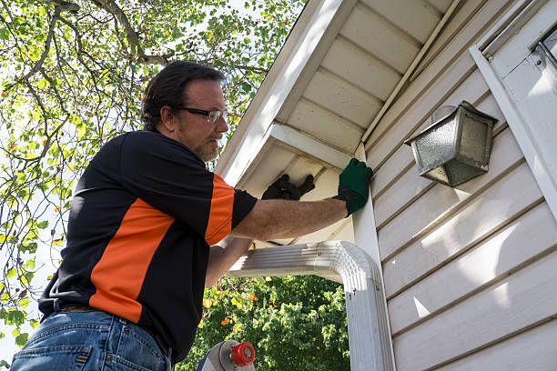 Best Siding Painting and Refinishing  in Fkville, AL